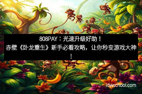 808PAY：光速升级好助！赤壁《卧龙重生》新手必看攻略，让你秒变游戏大神！